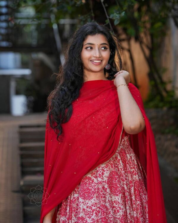 Gown with dupatta - Image 4