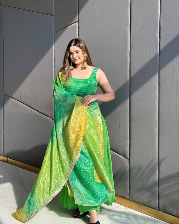 Sharara Set / Plazzo set Punjabi Vibes wedding Wear - Image 3
