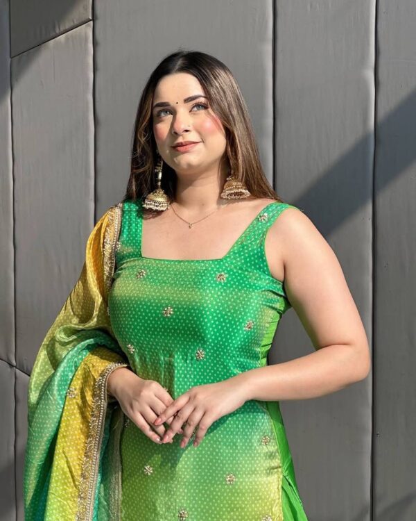 Sharara Set / Plazzo set Punjabi Vibes wedding Wear - Image 4